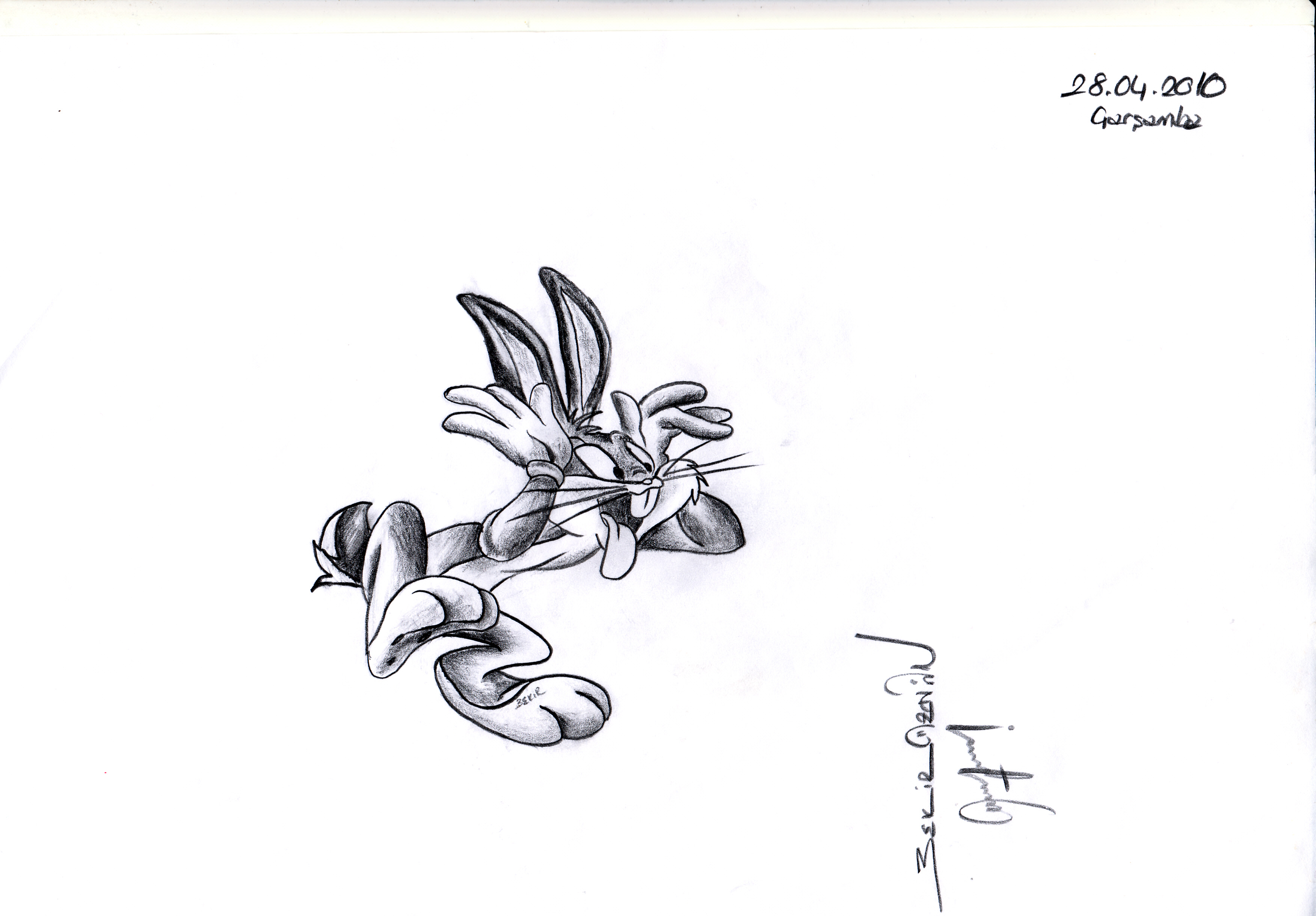IMG 0008