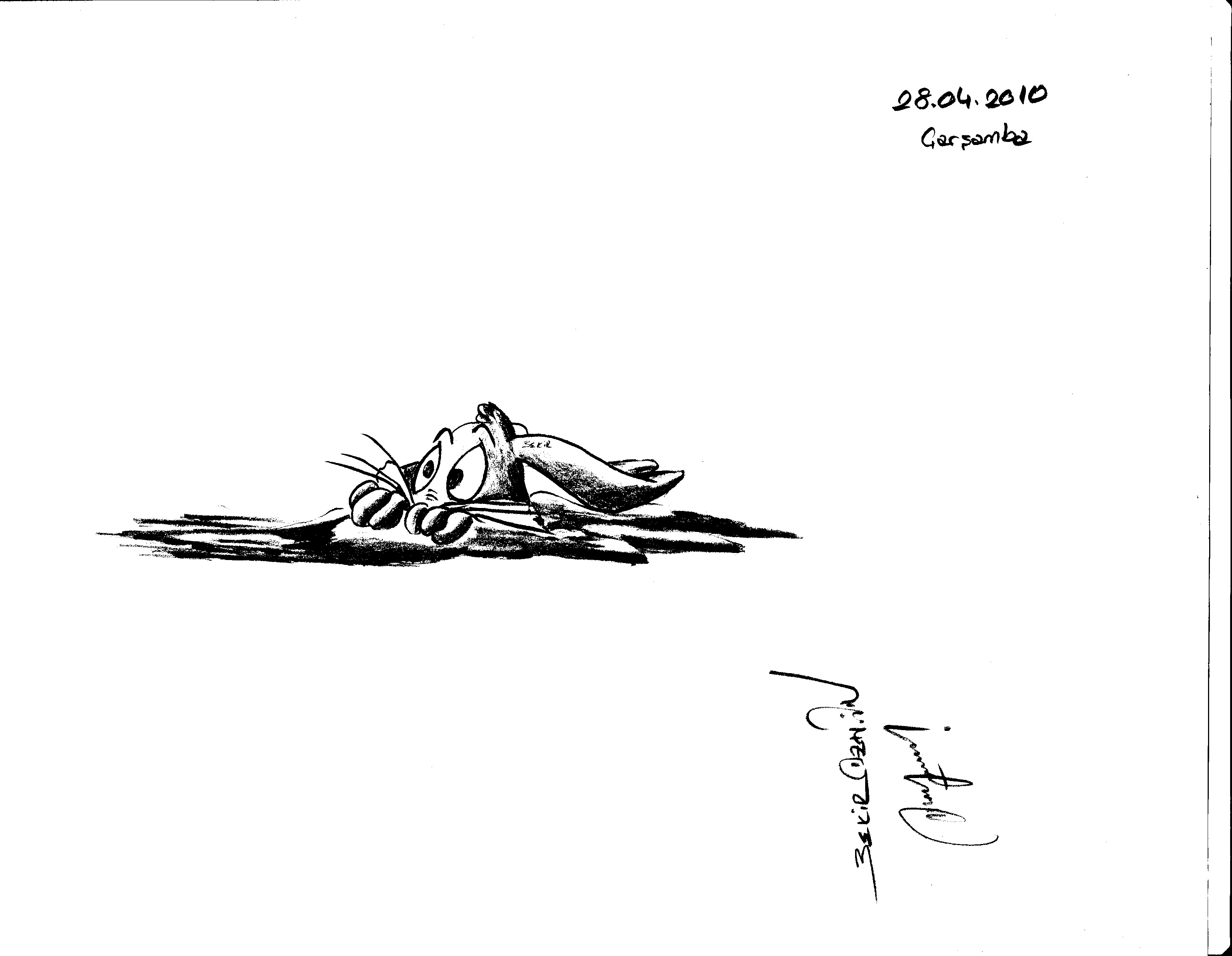 IMG 0003 3
