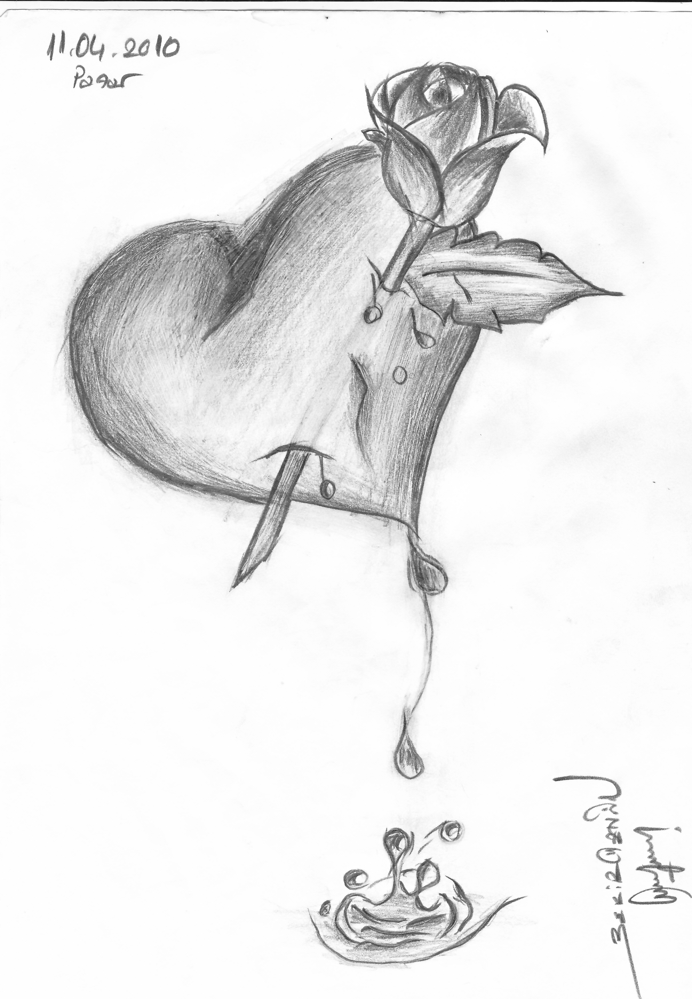 IMG 0005