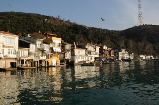 BEYKOZ