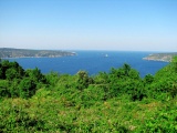 Tn anadolukavagibeykoz erkin